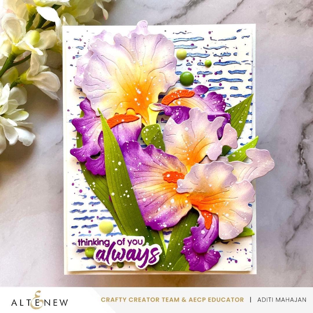 Spectacular Spectrum Fresh Dye Ink Reinker Bundle